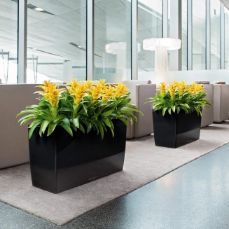  Lechuza Cararo Premium planter, red gloss - 8