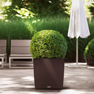  Lechuza Cube Cottage 30 planter | 40 | 50 mocha - 9