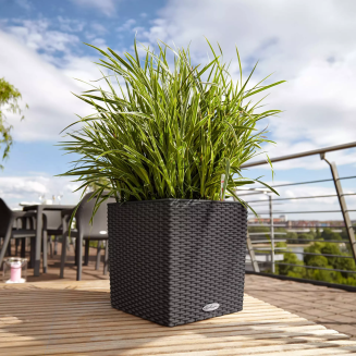  Lechuza Cube Cottage 30 planter | 40 | 50 mocha - 11