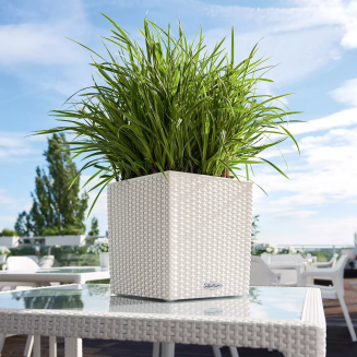  Lechuza Cube Cottage 30 planter | 40 | 50 mocha - 13