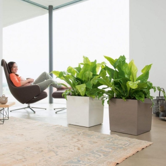  Lechuza Cube Premium 30 flowerpot | 40 | 50 espresso metallic - 11