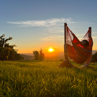  La Siesta Udine Hammock Chair Stand - 2
