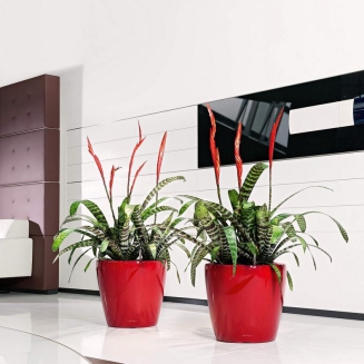  Lechuza Classico Premium LS 21 flowerpot | 28 | 35 | 43 | 50 red gloss - 10