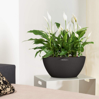 Donica Lechuza Cubeto Stone 40 grafitowy czarny - 6