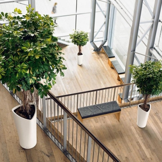 Donica Lechuza Delta Premium 30 | 40 antracyt metallic - 8