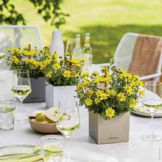 Doniczka Lechuza Canto Stone 14 kostka piaskowy beż - 5