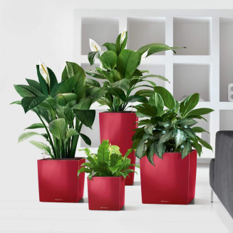 Lechuza Cube Premium 40 red gloss flowerpot - 7