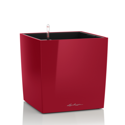 Donica Lechuza Cube Premium 40 czerwony połysk