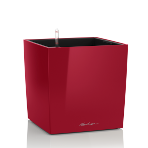 Donica Lechuza Cube Premium 40 czerwony połysk | SZYBKA WYSYŁKA 24H
