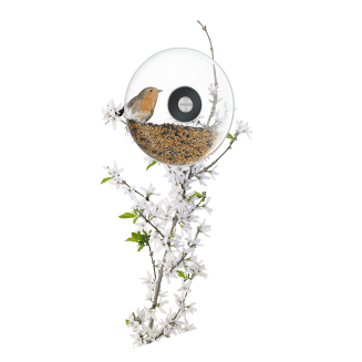 Karmnik okienny Eva Solo Window bird feeder 20 cm - 6
