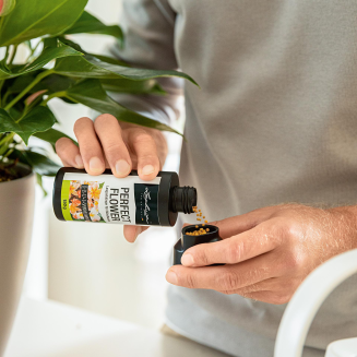 Nawóz Lechuza Perfect Flower 150 g - 2