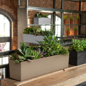 Donica Lechuza Balconera Stone 50 | 80 piaskowy beż - 9