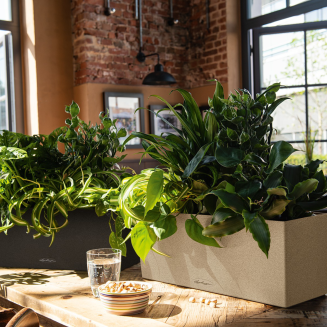 Donica Lechuza Balconera Stone 50 | 80 piaskowy beż - 8