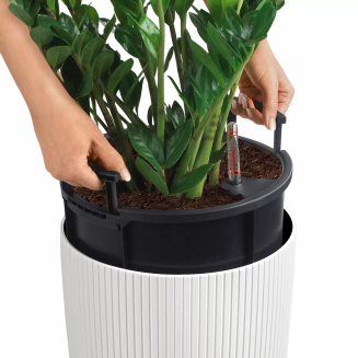  Lechuza Cilindro Color 23 planter sand brown - 3