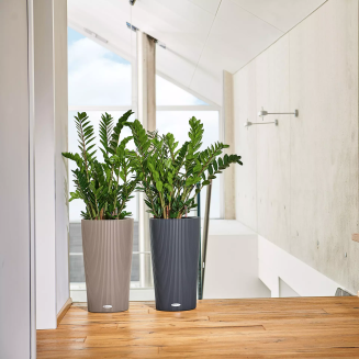  Lechuza Cilindro Color 23 planter sand brown - 8
