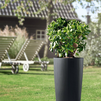 Donica Lechuza Cilindro Color 23 piaskowy brąz - 9