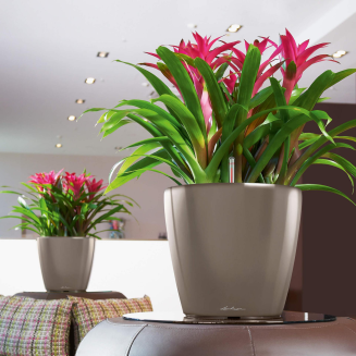  Lechuza Classico Premium LS 21 flowerpot | 28 | 35 | 43 | 50 taupe gloss - 10