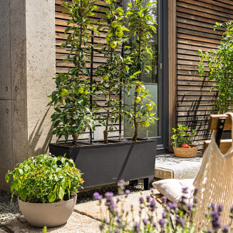 Donica Lechuza Trio Stone 40 grafitowy czarny - 5