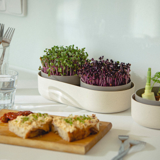 Kiełkownica Urbalive Microgreens + pojemnik ECO beżowy 30x16 cm - 6