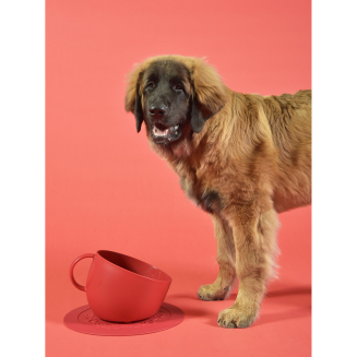 Miska dla psa United Pets Cup 2500 ml czerwona - 2