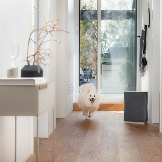 Oczyszczacz powietrza Stadler Form Roger Little 2 czarny | RABAT Z KODEM: STADLER10 - 6