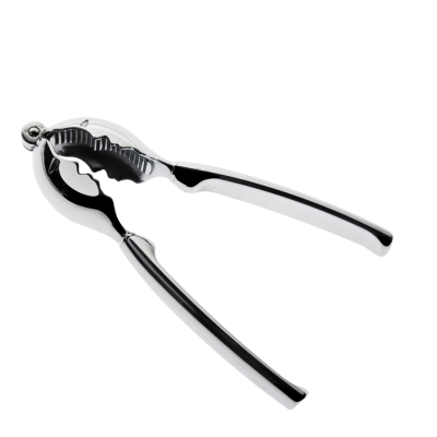 Dziadek do orzechów Casa Bugatti Kiss Steel