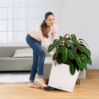 Donica Lechuza Cube Cottage 30 | 40 | 50 jasno-szary - 9