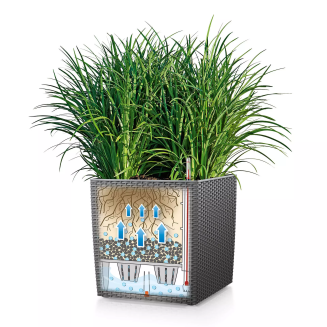  Lechuza Cube Cottage 30 planter | 40 | 50 light gray - 3