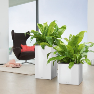  Lechuza Canto Premium 40 column anthracite metallic flowerpot - 8