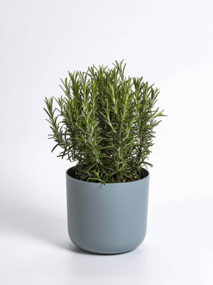 PLASTIA TOLITA Doniczka samonawadniająca okrągła z wkładem 19 cm szary