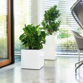 Lechuza Canto Premium 40 LED flowerpot, anthracite metallic column - 7