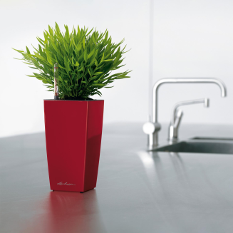Donica Lechuza Mini Cubi | Maxi Cubi czerwony mat - 6