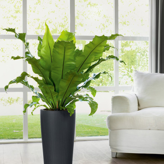 Donica Lechuza Cilindro Color 32 szary - 7