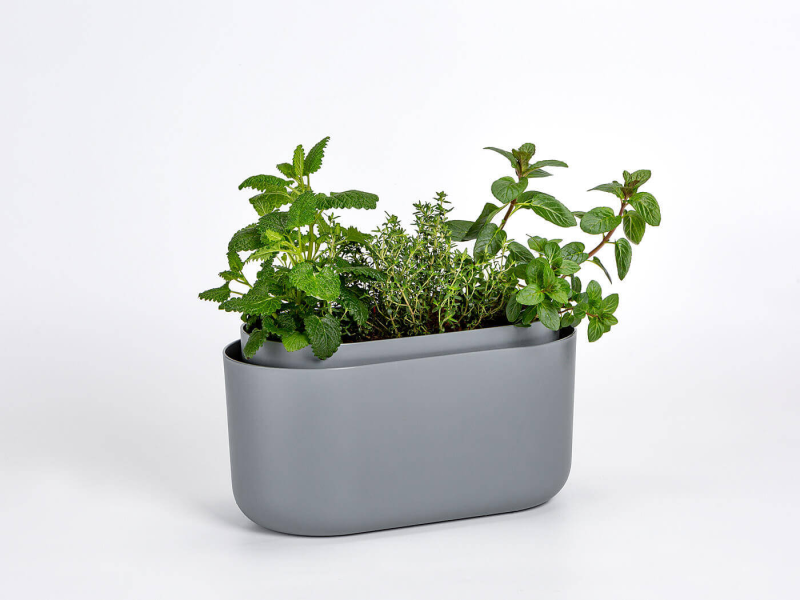 PLASTIA TOLITA Donica samonawadniająca prostokątna 31x16 cm szary