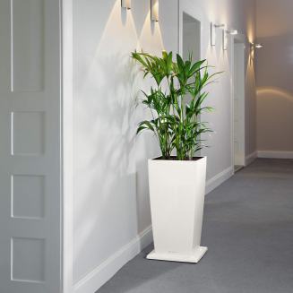 Podstawa do donic Lechuza Cubico 30 biała - 2