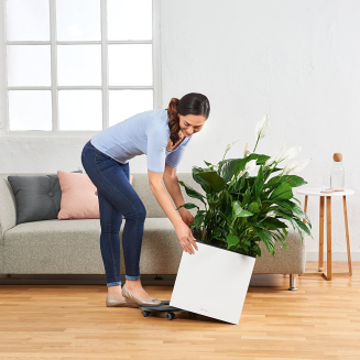 Donica Lechuza Canto Premium 40 kostka antracyt metallic - 6