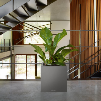Lechuza Canto Premium 40 cube anthracite metallic flowerpot - 6