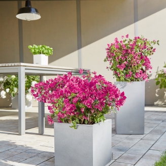  Lechuza Canto Stone planter 40 stone gray cubes - 9