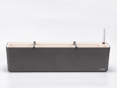 PLASTIA BERBERIS Donica samonawadniająca prostokątna 80x20 cm szary