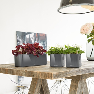 Lechuza Cube Glossy Triple flowerpot, red gloss - 2