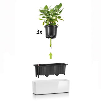 Donica Lechuza Cube Glossy Triple czerwony połysk - 6