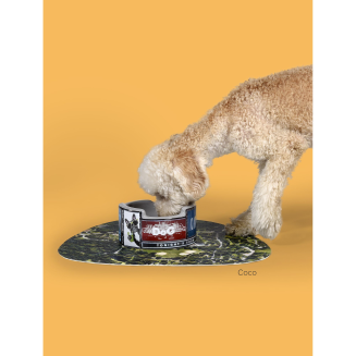 Ceramiczna miska dla psa United Pets New York 300 ml - 4