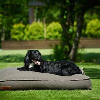 SACKit Dog bed Medium Brown - 2