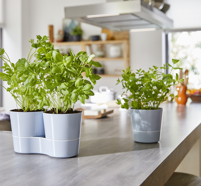 Witamy pomysłowe produkty marki Mepal w ofercie All4home