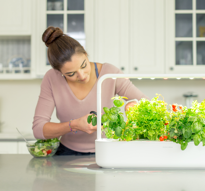 Specjalna oferta marki Click and Grow na Donice Smart Garden