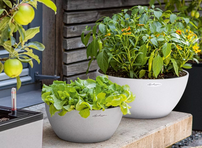 Nasz poradnik. Jak prosto i szybko posadzić rośliny w donicach Lechuza.