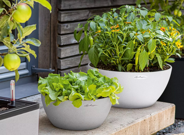 Nasz poradnik. Jak prosto i szybko posadzić rośliny w donicach Lechuza.