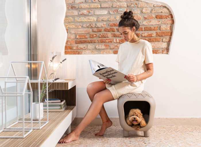 Design dla zwierząt. Inteligentne akcesoria i piękne przedmioty, które zmieniają codzienność psów i kotów.